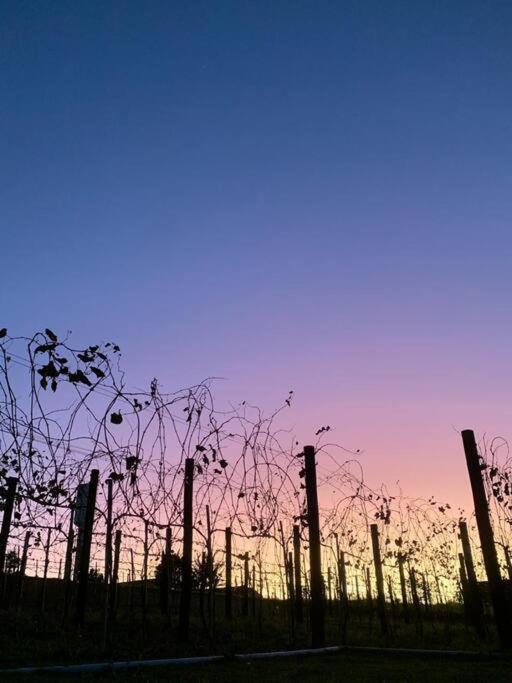 Willa Quarto Dos Vinhos São Roque Zewnętrze zdjęcie